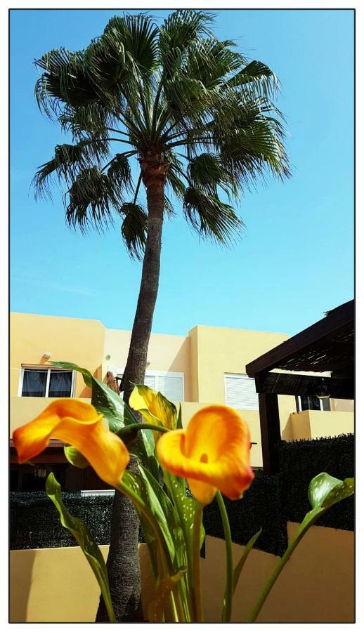 Lur De La Playa Apartment Corralejo Exterior photo